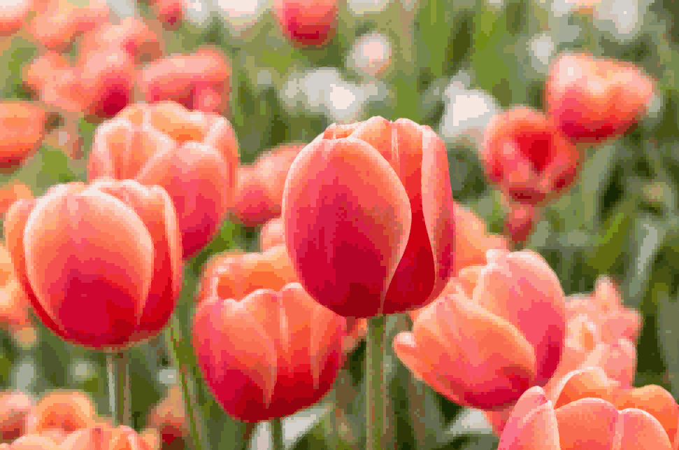 海关数据,凯发K8海关数据,荷兰海关数据 海关数据,凯发K8海关数据,荷兰海关数据