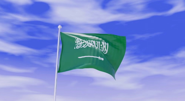 沙特阿拉伯市场开发